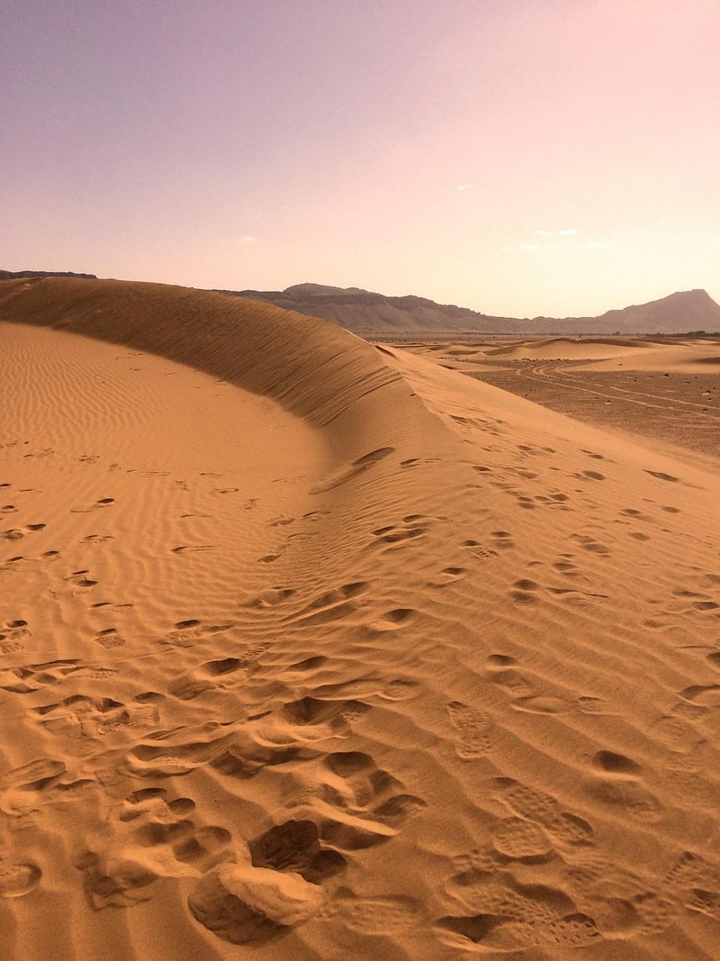 Nomadic Journeys